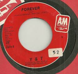 Y And T : Forever - Black Tiger